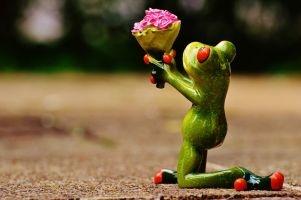 Frosch mit Blumenstrauß, der um Verzeihung bittet. Verzeihen zu können, ist ein großer Akt von Liebe